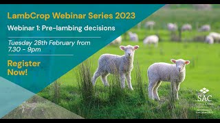 Lamb Crop Webinar Series 2023 Pre Lambing Decisions [upl. by Nahoj]