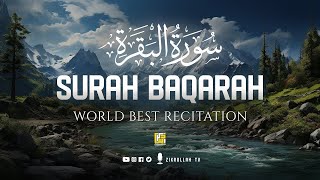 Surah Baqarah Last Two Verse 285 286  AlQuran Urdu Recite  Quran Revealed Modern Science [upl. by Trimmer]