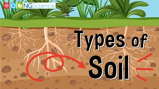 Types of Soil [upl. by Leamiba]