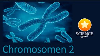 chromosomen 2 [upl. by Sigismond]