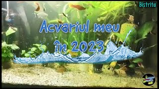 Acvariul meu în 2023 [upl. by Bilbe]