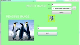 C Insert and Read Images Part 3 [upl. by Odilo]