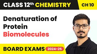 Denaturation of Protein  Biomolecules  Class 12 Chemistry Chapter 10  CBSE 202425 [upl. by Yendis]