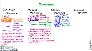 Membranes [upl. by Douty]