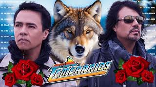 Los Temerarios Viejitas Románticas 💝 Románticas Del Ayer 💝 Mejores Canciones Inolvidables [upl. by Athalie]