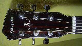 Katayama Guitar KD2320  JERI Nakai 片山ギター試奏 [upl. by Gianna]