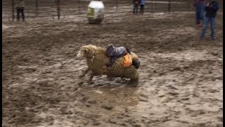 Muddy Mutton Bustin’  2018 Miles City Bucking Horse Sale [upl. by Ydnic]