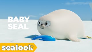 Teeny Tiny Tough Baby Seal  Baby Seal Special  SEALOOK  Episodes Compilation [upl. by Mauretta]