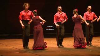 Ballet Flamenco Cristina Hoyos Gira China [upl. by Uhej]