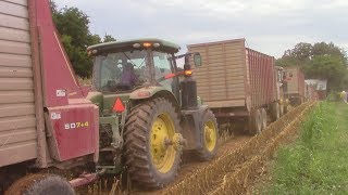 2017 Corn Chopping Army of HampS Forage Wagons [upl. by Kcirred]