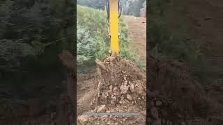 Satisfying Process Of Mechanically Digging Medical Plant Roots [upl. by Neyuh]