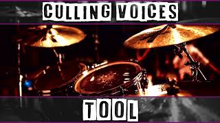 Drumless Culling Voices  Tool [upl. by Francisco]