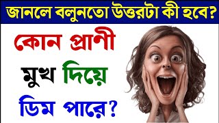 ধাঁধা প্রশ্ন ও উত্তরগুগলি প্রশ্ন ও উত্তর Mojar DhadhaBuddhir khelaDadagooglyধাঁধাDhadhaP615 [upl. by Weksler]