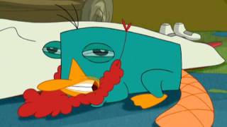 Perry Growl  Phineas and Ferb  Disney Channel Official [upl. by Brig]