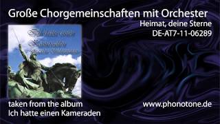 Große Chorgemeinschaft mit Orchester  Heimat deine Sterne [upl. by Aerdnac]