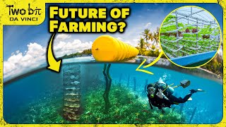 Scientists Want to Start Ocean Farms  This Surprised Me [upl. by Eniamej]