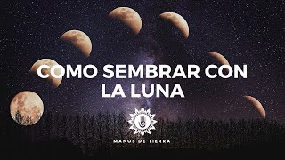 Como Sembrar Con LA LUNA 2024 cultivar con fases lunares calendario lunar [upl. by Naitsirk]