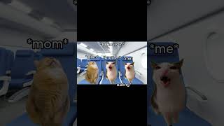 CAT MEMES 🐱 12 HOUR Flight To Korea catmemes relatable shorts [upl. by Airitak]