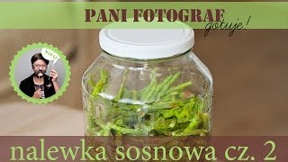 przepis na nalewkę z pędów sosny cz 2 [upl. by Gran]