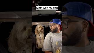 Mini Cockapoo Actually Does Math For The First Time 😳 [upl. by Atilrak]