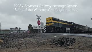 7993V SHRC Spirit of the Wimmera X31 Murtoa to Beulah 51024 [upl. by Oile]