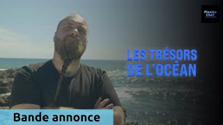 Les trésors de lOcéan  bande annonce  Animaux [upl. by Enomys]