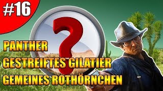 Gestreiftes Gilatier  Gemeines Rothörnchen  Panther  RDR2 Zoologe  Unter die Haut  16 [upl. by Emmerich]