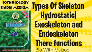 Types of SkeletonHydrostaticExoskeletonEndoskeleton and there Main Functions [upl. by Nevai]