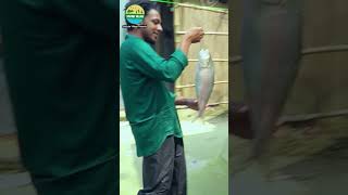 GIFT for Village Grandma villagevlog villagelife hilsafish elishfish villagekitchen fish [upl. by Ramsay]