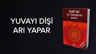 KURAN MUCİZELERİ Yuvayı Dişi Arı Yapar  Kuranda Arı Neml Özellikleri [upl. by Atiuqcaj141]