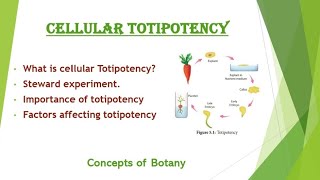 Cellular Totipotency in Plant Tissue Culture Steward experiment UrduHindi Concepts of Botany [upl. by Solram]