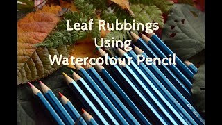 Leaf Rubbing with Watercolour Pencils [upl. by Ecinahc]