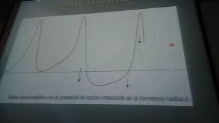 FÁRMACOS ANTIARRITMICOS PARTE 1 DR JAVIER URQUIZA [upl. by Grimes76]