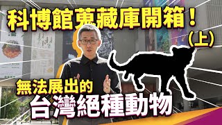 蒐藏高達169萬件！還包括無法展出的台灣已滅絕動物！？全台自然史蒐藏量最大的科博館，都蒐藏了哪些東西？化石是澎湖漁民撈上來的？標本是山產店來的？科博館蒐藏庫開箱（上集） ft 國立自然科學博物館 [upl. by Serge]