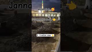 Ye kash mujhe maut madine me youn aye naat 🤲🥰🇸🇦 short trend madina jannatulbaqi yshorts allah [upl. by Clynes357]