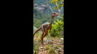 Discovering Coelophysis The Agile Dinosaur [upl. by Tloc]