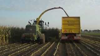 Loonbedrijf Rasenberg Wagenberg Maishakselen met de nieuwe John Deere Hakselaar type 7450i [upl. by Buchanan]