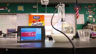 Baking soda amp Citric Acid Endothermic Reaction [upl. by Zea]