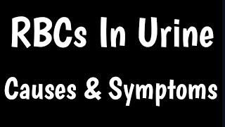 RBCs In Urine  Causes amp Symptoms Of Red Blood Cells In Urine [upl. by Wadlinger]