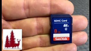 How to download trail camera pictures from a Memory Card or SD card on a PC or Laptop [upl. by Asi327]