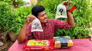 எனக்கு பிடிச்ச மீன்கள் வாங்கியாச்சு 🥰 I Purchased New Fishes 🐠  Vijay Vlogs [upl. by Mir453]