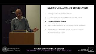 Lecture 1 Markus Reindl  Neuroinflammation and demyelination [upl. by Aieken]