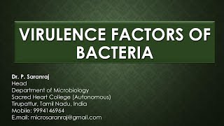 Virulence Factors of Bacteria [upl. by Assilaj57]