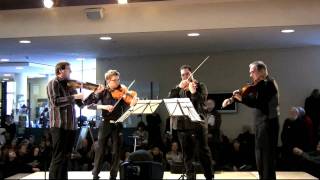 Oblivion Berlin Philharmonic Viola Quartet [upl. by Ash]