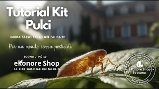 Come Eliminare le Pulci in Casa con il Kit BioFleas Soluzione Naturale Fai Da Te [upl. by Aramois992]