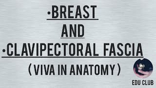 Breast and Clavipectoral Fascia  Anatomy Viva Questions [upl. by Wightman]