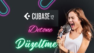 Detone Düzeltme  Şan Keman Ud  Cubase Pro 12 shorts [upl. by Aciraa262]