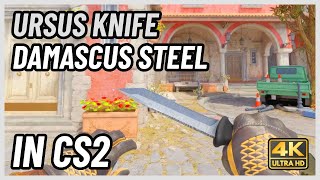 ★ CS2 Ursus Knife Damascus Steel  CS2 Knife InGame Showcase 4K [upl. by Annig280]