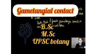 What is Gametangial Contact  Types of gametic fusion in fungi  Biology By Neha🌻 [upl. by Farrington193]