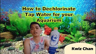 How to Dechlorinate Tap Water for Aquarium  Paano Tanggalin ang Chlorine sa Tubig Gripo [upl. by Ardnnek]